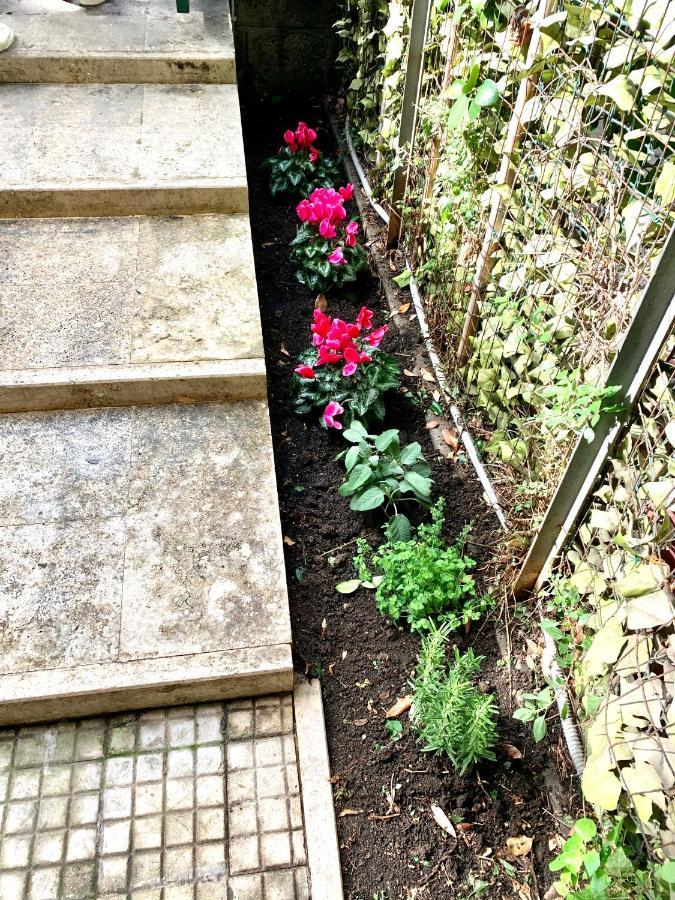Vatican Garden Home Roma Exterior foto